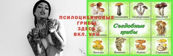 mdpv Майский