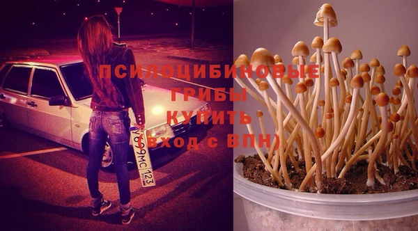 шишки Магадан