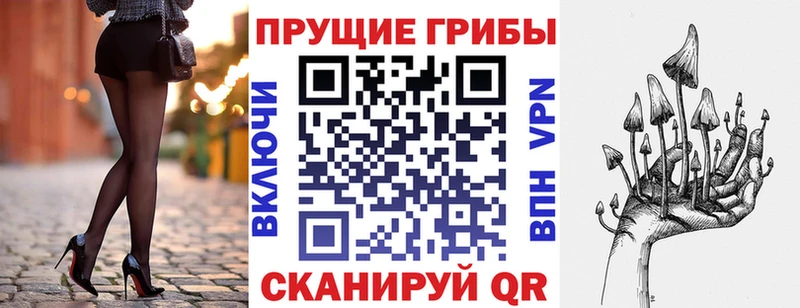 купить закладку  Юрьев-Польский  блэк спрут зеркало  Псилоцибиновые грибы Psilocybine cubensis 